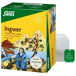 INGWER KRÄUTER-GEWÜRZTEE-Mischung Bio Salus Fbtl. 40 St