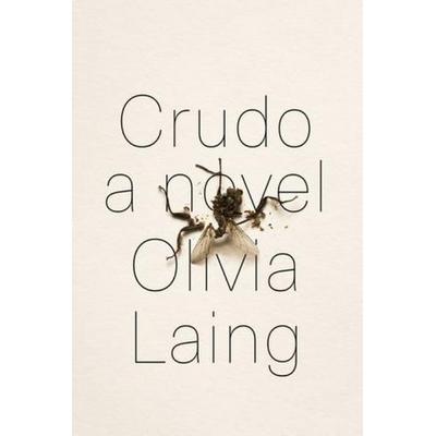 Crudo - A Novel, Gebundene Ausgabe von Olivia Laing, W W Norton & Co, 978-0-393-65272-7