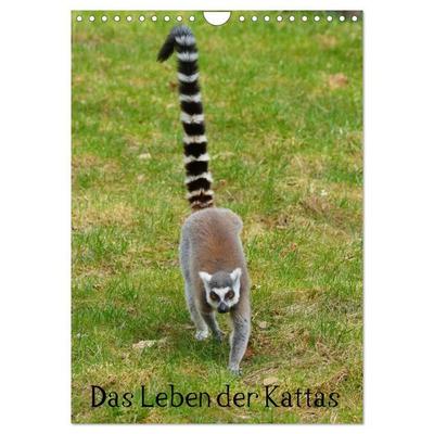 Das Leben der Kattas (Wandkalender 2027 DIN A4 hoch), CALVENDO Monatskalender