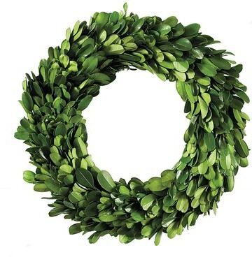 Preserved Boxwood Mini Wreath - Ballard Designs