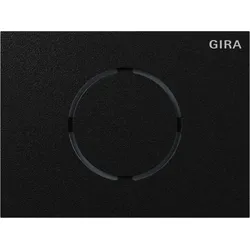 Gira Frontpl. Türstationsmodul 5579925