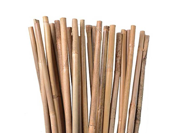UNUS Nature by Kolibri Bamboestokken, plantenstokken voor het stabiliseren van planten in de tuin, rankstaven bamboe, 120 cm, natuurkleurig, 25 stuks