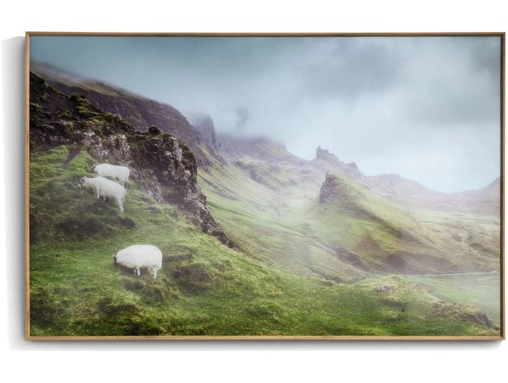 Coco Maison Highlands Bild 100x70cm