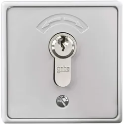 Rademacher Schlüsseltaster AP 4596, Schalter + Taster, Grau, Silber