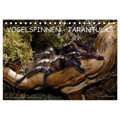 Vogelspinnen - Tarantulas (Tischkalender 2027 DIN A5 quer), CALVENDO Monatskalender