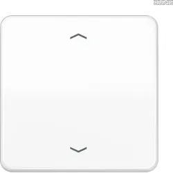 Jung Wippe Symbole alpinweiß für Taster CD 590 P WW