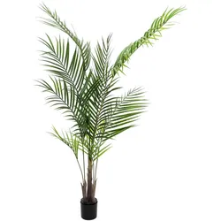 EUROPALMS Großblatt-Areca, Kunstpflanze, 165cm