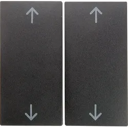 Berker Wippe anth matt 16441606