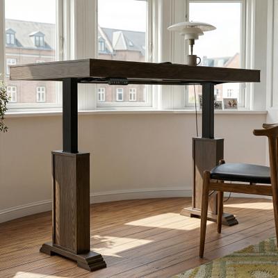 Homsee "63"" Electric Height Adjustable Desk with Storage Cabinet & Hutch, Modern Home Office Desk , Standing Desk Workstation Combo"