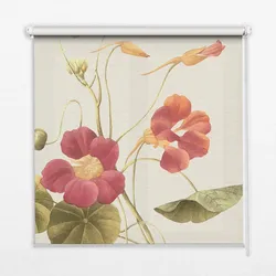 INNENROLLO - Fensterrollo - Rollo - 100x140 cm - Blume