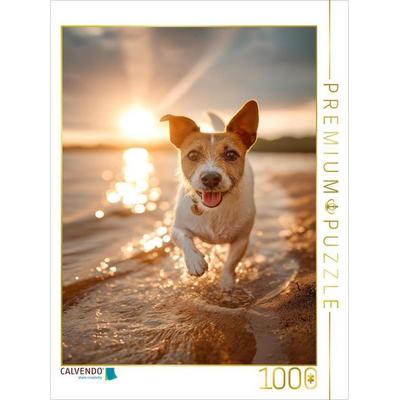 CALVENDO Puzzle Strandtag! Wo ist mein Eis? | 1000 Teile Lege-Größe 64x48cm Foto-Puzzle für glückliche Stunden, von , Calvendo Puzzle