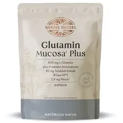 BÄRBEL DREXEL Glutamin Mucosa Plus Kapseln 240 Stück für 60 Tage