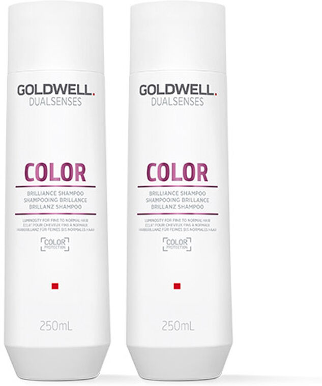 Goldwell Dual Senses Color Brilliance Shampoo 250ml Double