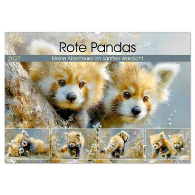 Rote Pandas. Kleine Abenteurer im sanften Waldlicht (Wandkalender 2027 DIN A2 quer), CALVENDO Monatskalender