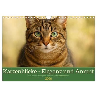 Katzenblicke – Eleganz und Anmut (Wandkalender 2026 DIN A4 quer), CALVENDO Monatskalender