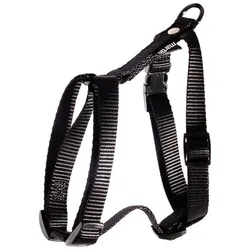 Martin Sellier L (L, Hund, Spazieren), Halsband + Leine