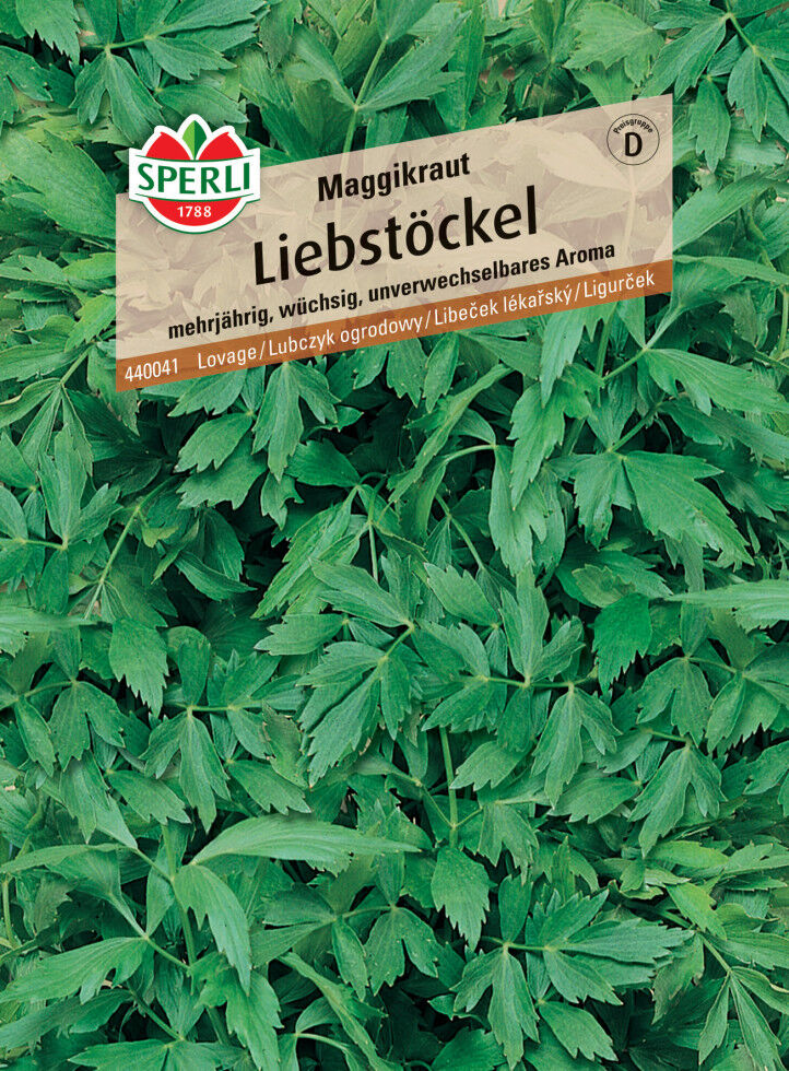Sperli Liebstöckel Maggikraut