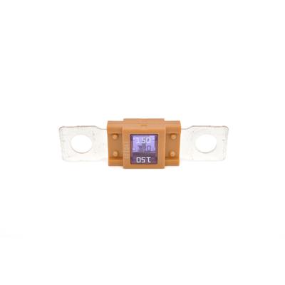 BOSCH Sicherung 1 987 531 002