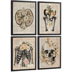 POSTER Set aus 4 Anatomie Drucke und Wandbilder mit Nieren Becken Knochen Hüfte Rippen Wirbelsäule Schädel Antiker Buch Stil Größe Schwarzer Rahmen A3