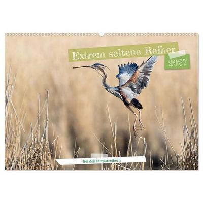 Extrem seltene Reiher (Wandkalender 2027 DIN A2 quer), CALVENDO Monatskalender
