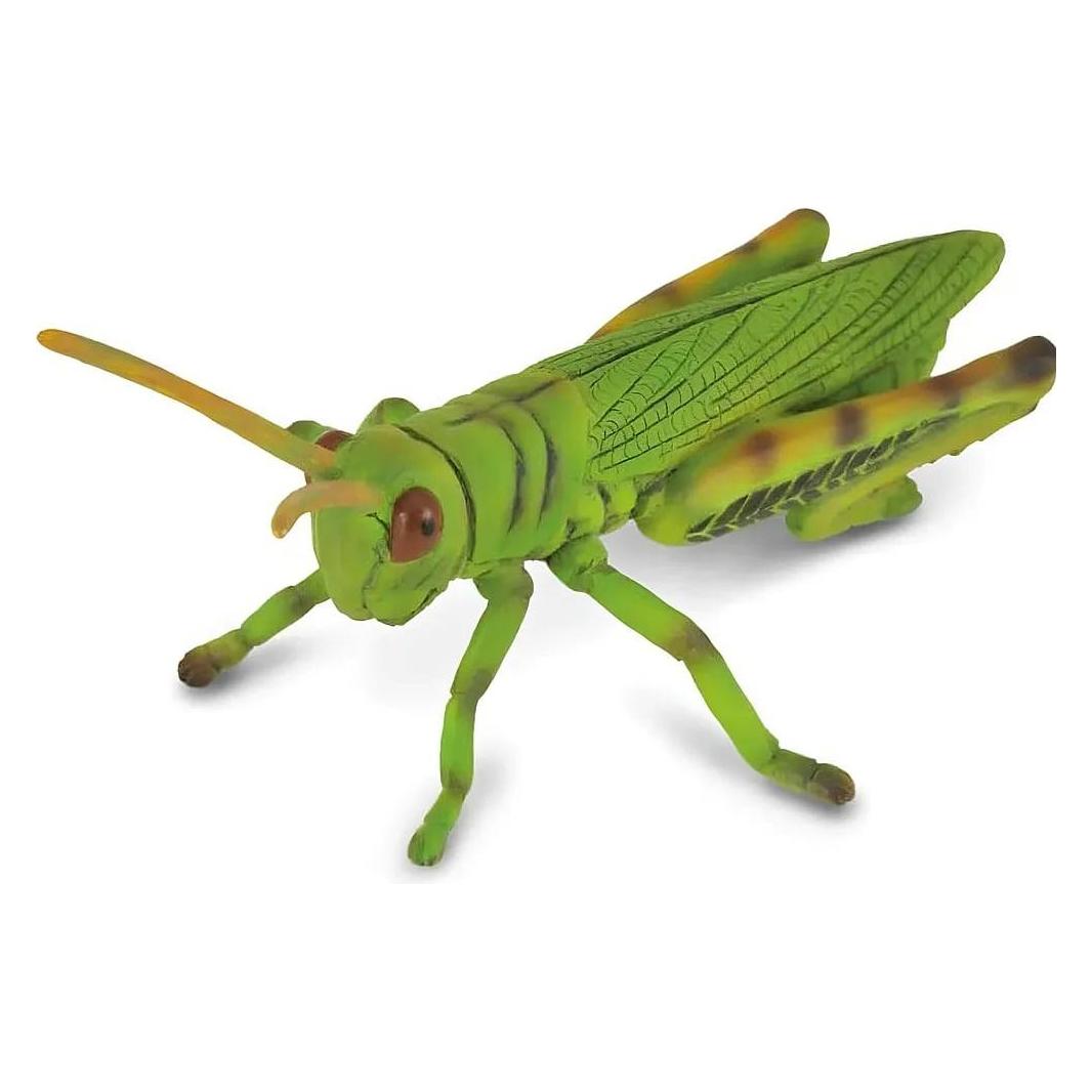 Collecta Heuschrecke (M) (88352)