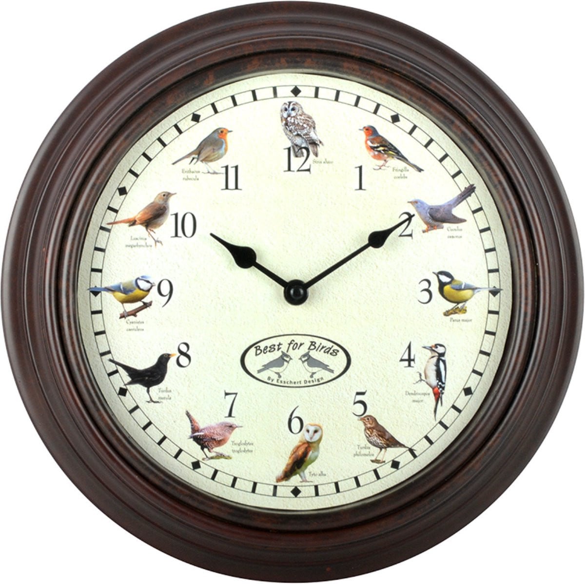 Best for Birds Wandklok met vogels en geluiden - 30 cm