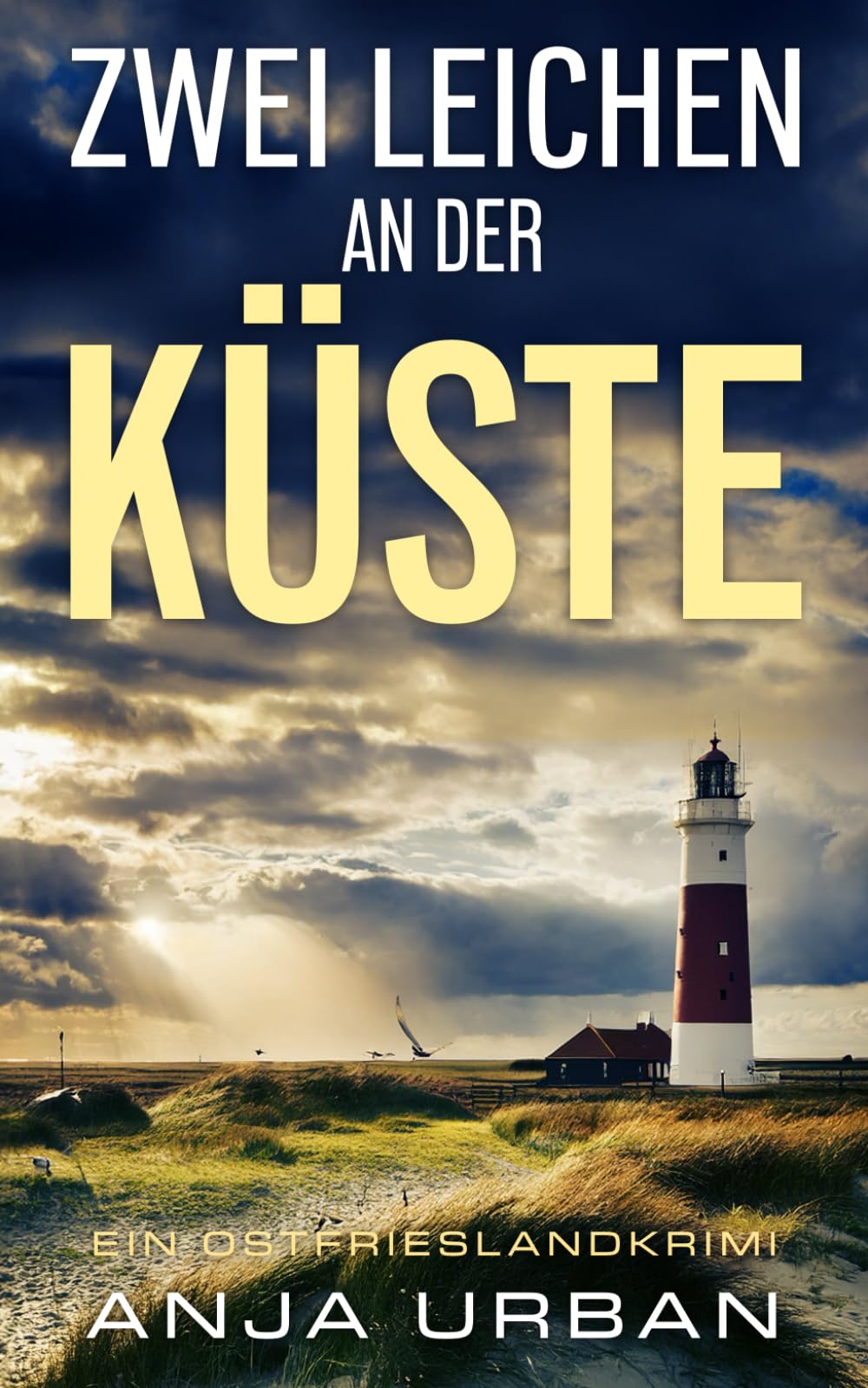 Anja Urban - Zwei Leichen an der Küste: Ein Ostfrieslandkrimi (Stein und Martens ermitteln in Ostfriesland, Band 8) - Preis vom 16.10.2026 11:41:07 h