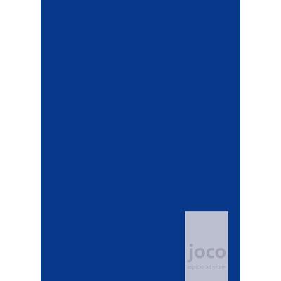 Joco - blau - Dein Weg zum Erfolg - ein Tagebuch, Journal für Achtsamkeit, Dankbarkeit und Persönlichkeitsentwicklung, Gebundene Ausgabe von Lars