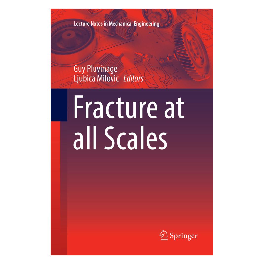 Springer Fracture at all Scales (Englisch, Softcover, Guy Pluvinage, Ljubica Milovic) (56008188)
