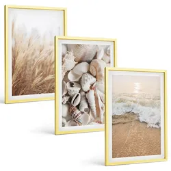 BILDER SET 3er Set - 40x60 cm Goldrahmen - Strandmotive, Muscheln, Wellen