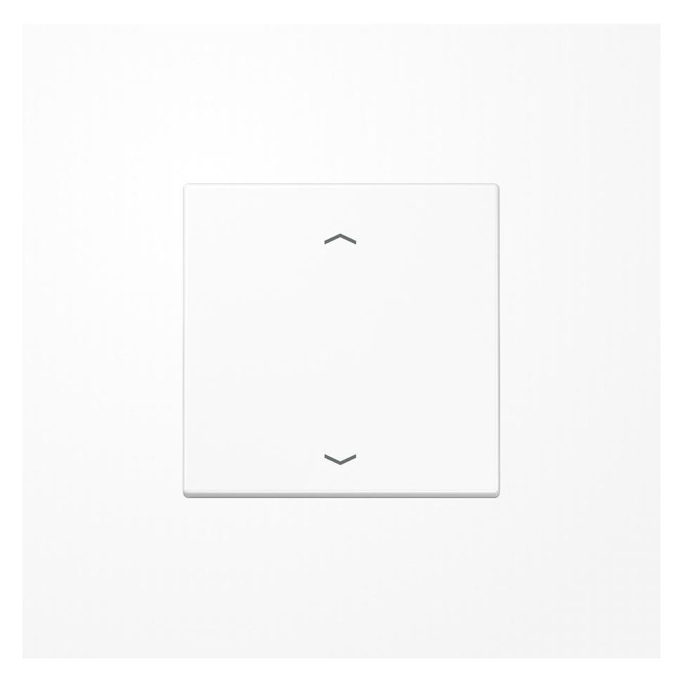 JUNG Wippe 1t Jalousie LS aws glz Pfeile LS1700PWW (LS1700PWW)