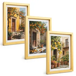 BILDER SET 3er Set - 20x30 cm Goldrahmen - Zitrusfrüchte, Hofpflanzen