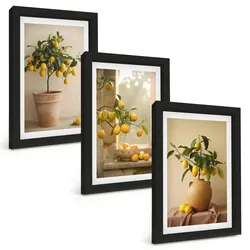 BILDER SET 3er Set - 20x30 cm Schwarzer Rahmen - Zitronenbäume im Topf