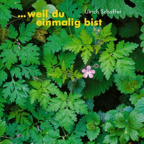 Ulrich Schaffer - Weil du einmalig bist - Preis vom 11.10.2026 15:43:13 h