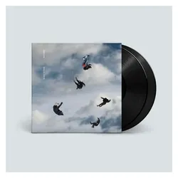 Irrsinn, Schallplatten, Rookery (Giant Rooks)