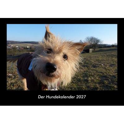 Der Hundekalender 2027 Fotokalender DIN A3