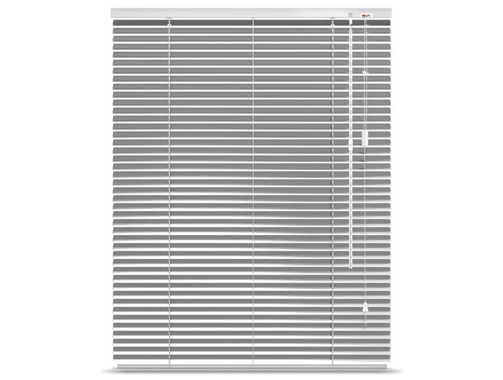 ALU-JALOUSIE SolDecor JA2 120x220cm Silber glänzend