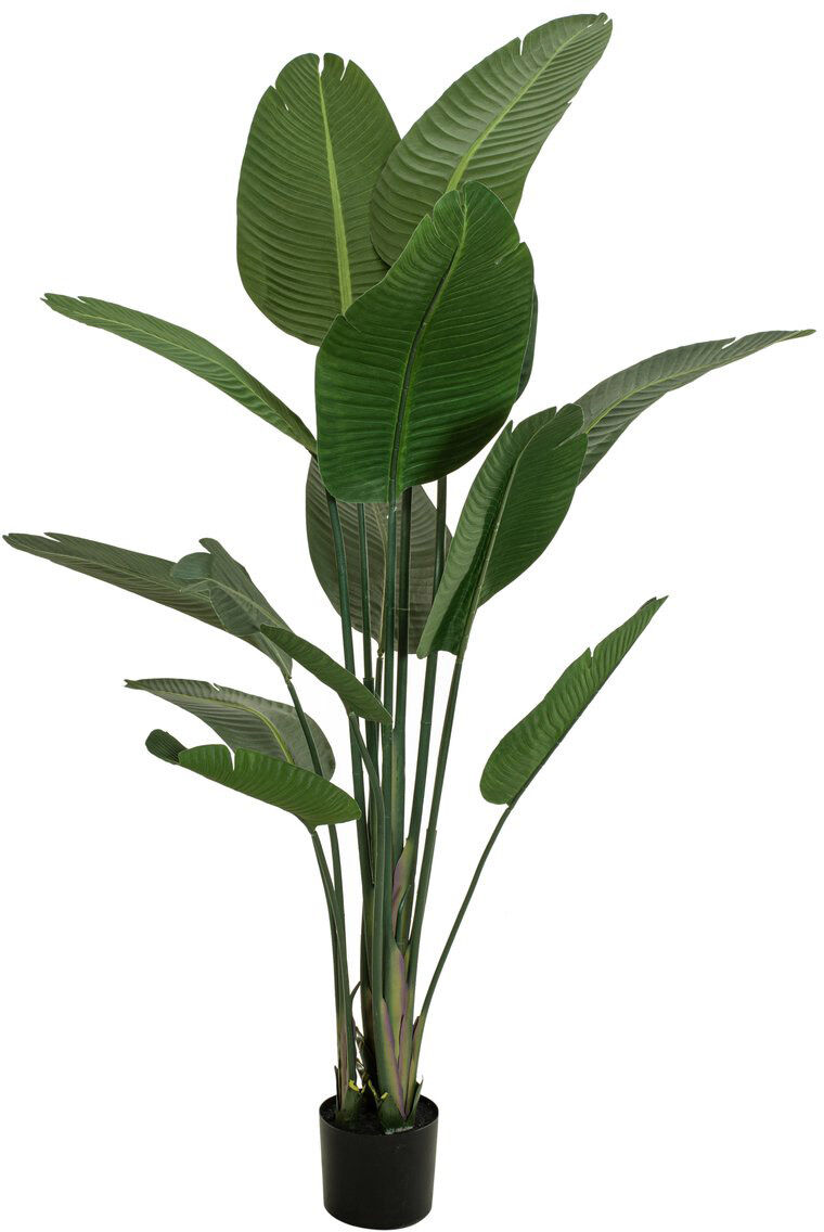 Europalms Strelitzie, Kunstpflanze, 170cm