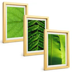 BILDER SET 3er Set - 20x30 cm Goldrahmen - Makrofotografie von tropischen Blättern