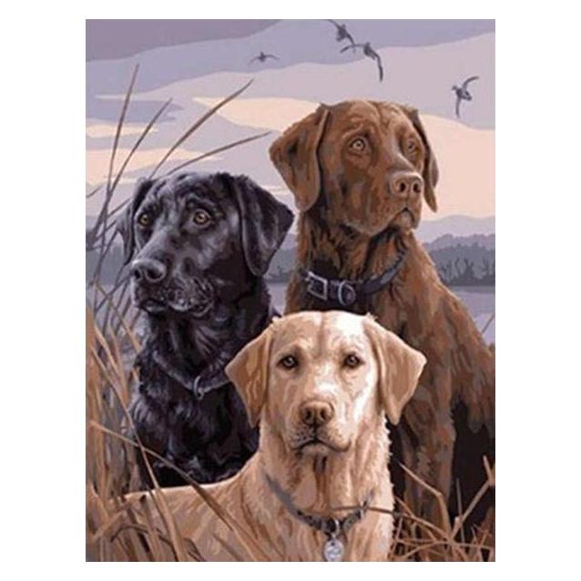 Pracht Diamond Painting 6037-40501 Hunde 25 x 35 cm (6037-40501)