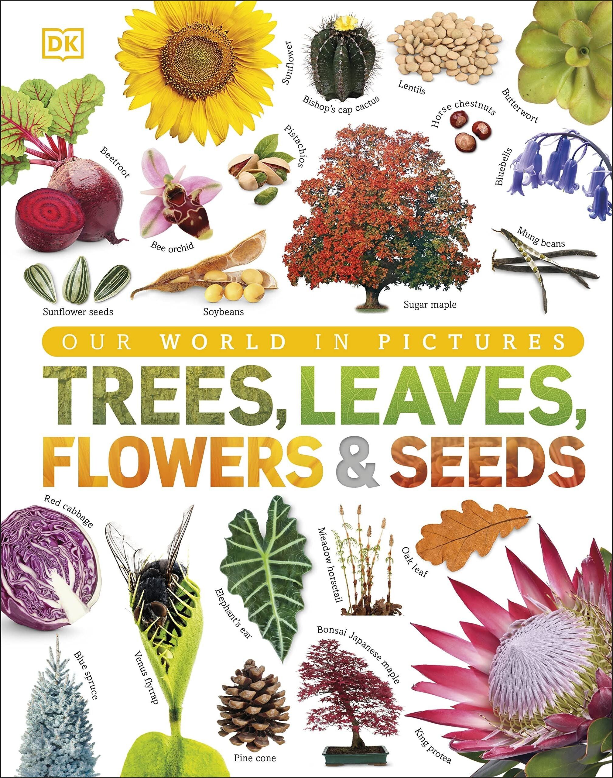DK Our World in Pictures: Trees, Leaves, Flowers and Seeds: A visual encyclopedia of the plant kingdom