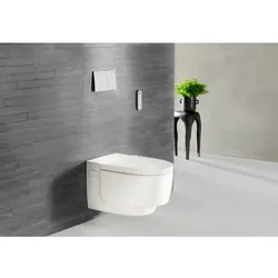 Geberit AquaClean Mera Comfort Dusch-WC 146210111 Weiß-alpin, Komplettanlage, Nachtlicht