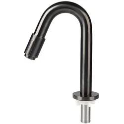 Differnz, Küchenarmatur, Fonteinkraan gebogen 19cm gun metal (30.416.35)
