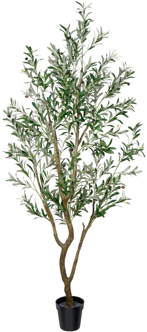 Lily Manor Faux Olive Tree Plant in Plastic Nursery Pot Green 210cm/7ft