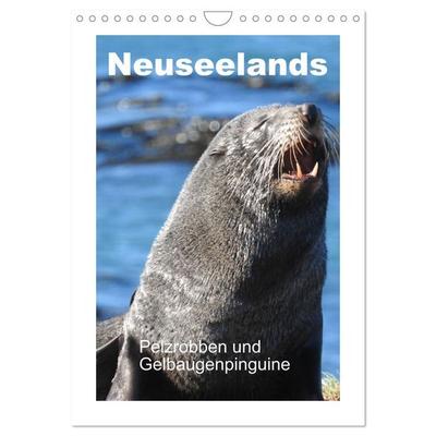 Neuseelands Pelzrobben und Gelbaugenpinguine (Wandkalender 2027 DIN A4 hoch), CALVENDO Monatskalender