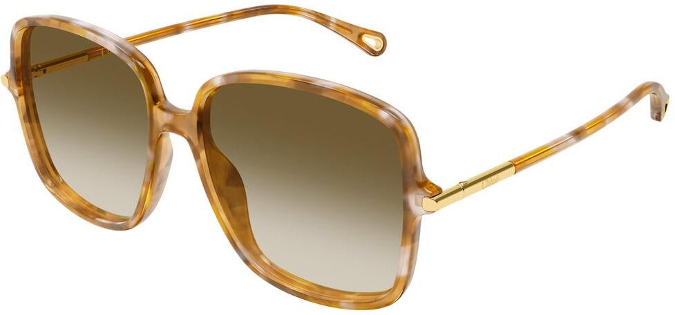 Chloé  - CH0396S 003 Havana - Lunettes de soleil