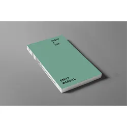Emily Wardill. Night for Day, Fachbücher von Emily Wardill
