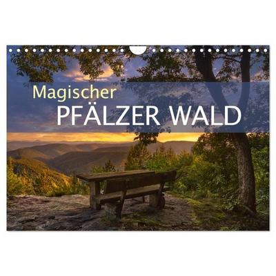 Magischer Pfälzer Wald (Wandkalender 2026 DIN A4 quer), CALVENDO Monatskalender