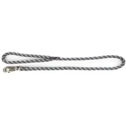 Image Gestreifte Hundeleine (Hund, Spazieren), Halsband + Leine