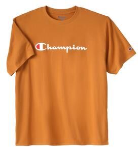 Men's Big & Tall Champion® Script Logo Tee by Champion in Briefly Brown (Size XLT)